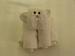 01 Monkey towel animal