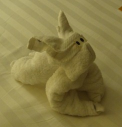 05 towel bunny