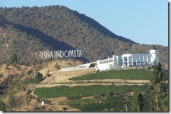 08 Vina Indomita vineyards near Valparaiso