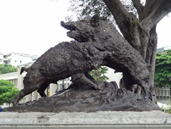 12 Statue of fighting pigs in Parque Bolivar
