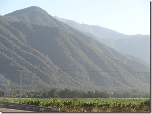 12 Vineyard in mountain valley near Santiago
