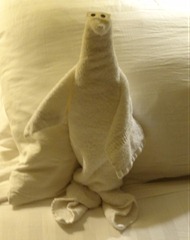 24 Towel animal on pillow (seal, perhaps)