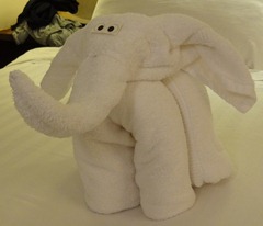 35 Elephant towel animal