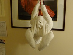 44 Ape towel animal