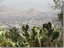 50 Cactus & Santiago overlook near restaurant