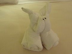 01 towel bunny