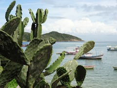 06 Cactua & Buzios harbor