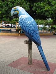 16 Parrot statue