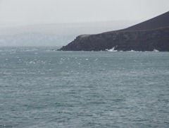 20 Penguin Island ice field