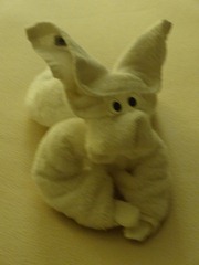 240 towel bunny