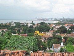 30 Olinda view from hill