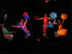 33  Frevo show on Prinsendam