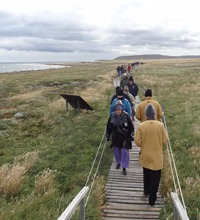 38 People walking to see penguins at Otway