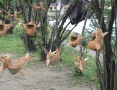 04 Coconut carvings hanging from tree