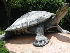 06 Turtle statue