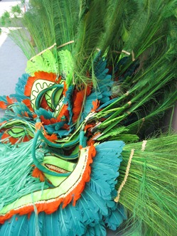 12 Boi Bumba costumes