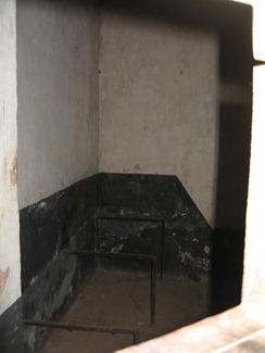 35 Solitary cell