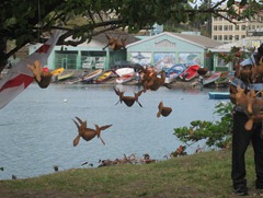 41 Coconut carvings hanging from tree