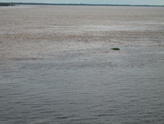 71 Meeting (Marriage) of the Waters (Rio Solimoes & Rio Negro)