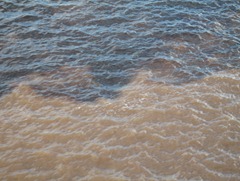 78 Meeting (Marriage) of the Waters (Rio Solimoes & Rio Negro)