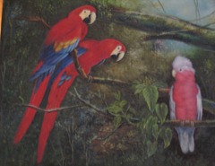 78 painting of parrots in Palacio Rio Negro