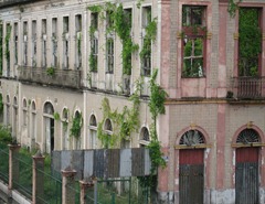 95 Overgrown bldg facades near port