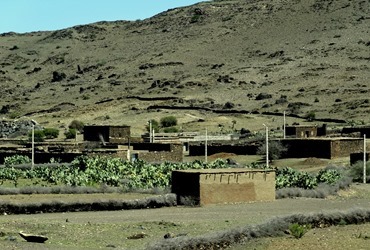 12a. Road from Casablanca to Marrakesh village with prickly pears