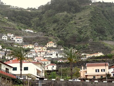 155a. Funchal, Madeira Porto Moniz (terraced hill)