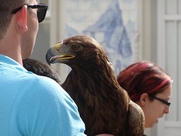 3. Funchal, Madeira 03-24-13