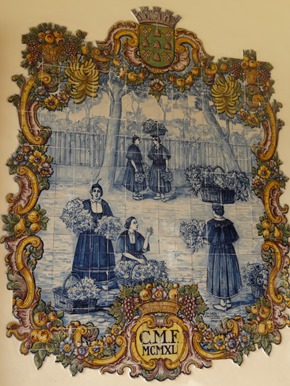 37. Funchal, Madeira 03-24-13