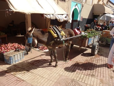 44.  Taroudant, Morocco