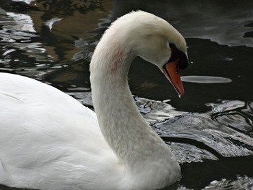 58. Funchal, Madeira 03-24-13