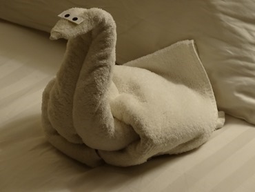 88. Funchal, Madeira 03-24-13