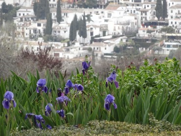 206. Alhambra, Granada