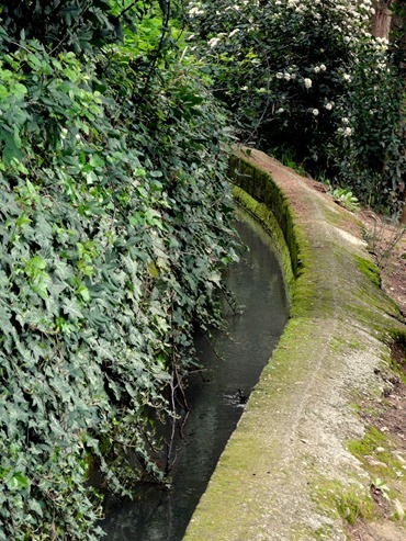 233. Alhambra, Granada