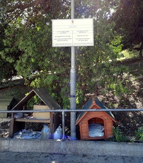 240. Malta Valetta Cat Cafe