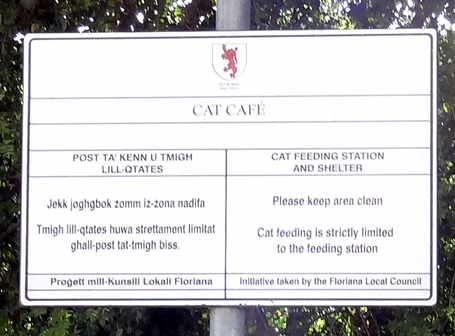 240a. Malta Valetta Cat Cafe sign