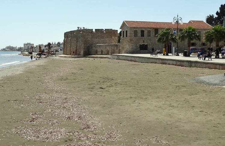 46. Larnaka