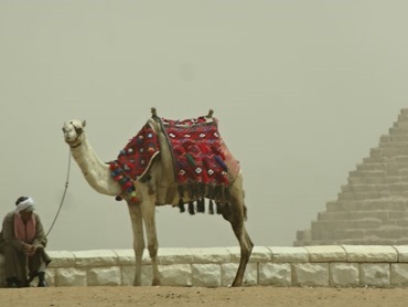 74.Giza (Pyramids)