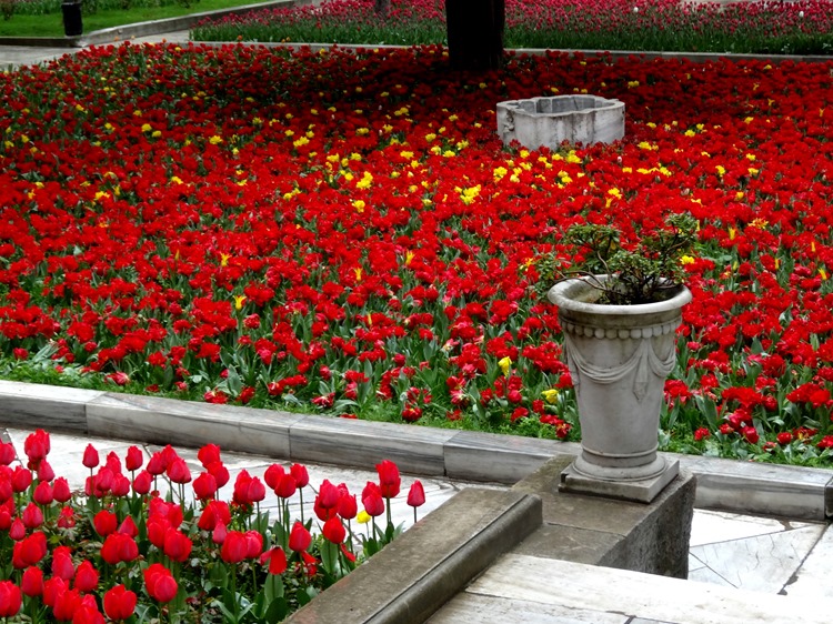 381. Istanbul Topkapi Palace 4-16