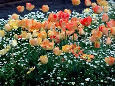 400. Istanbul Topkapi Palace 4-16