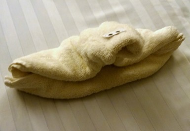 10. Prinsendam 4-25-2013