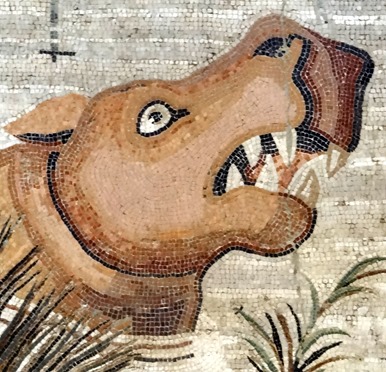 244. Naples Archeological Museum