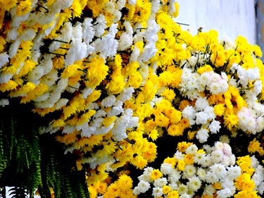 119. Porta del Gado_edited