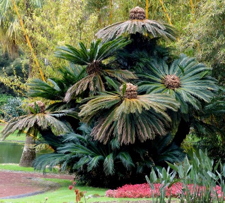 144a. Porta del Gado