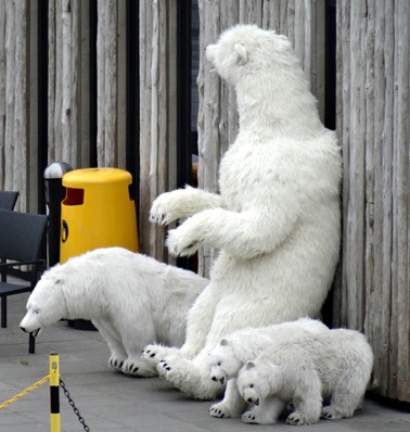 004.  Akureyri 7-22-2014