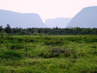 008.  Corner Brook, Newfoundland (Grand Morne Park) 7-15-2014008.  Corner Brook, Newfoundland 7-15-2014