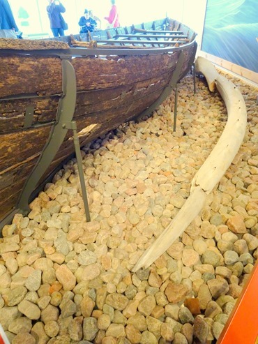 008. Red Bank, Labrador 2-16-2014