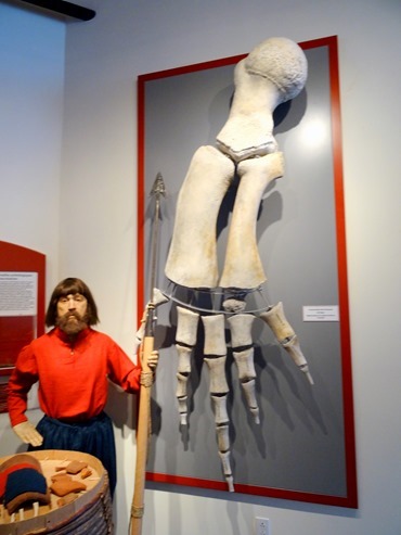 009. Red Bank, Labrador 2-16-2014