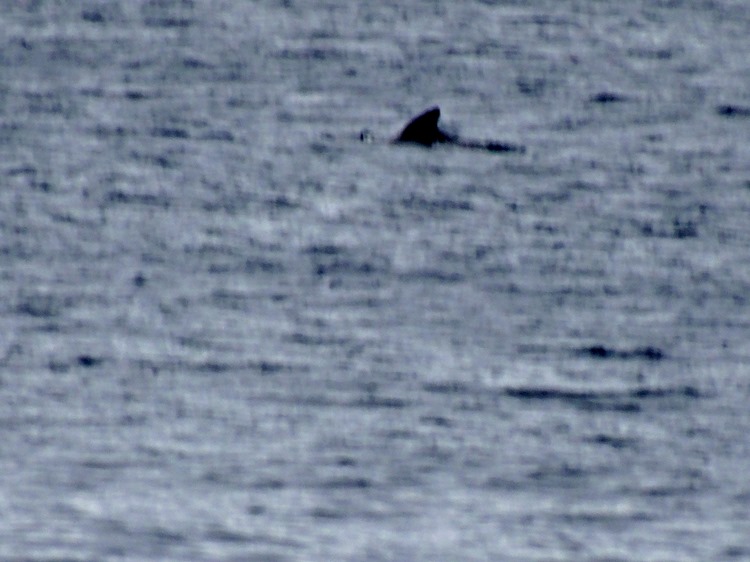 01.  At Sea 7-18-2014